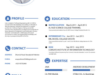 Waqas CV